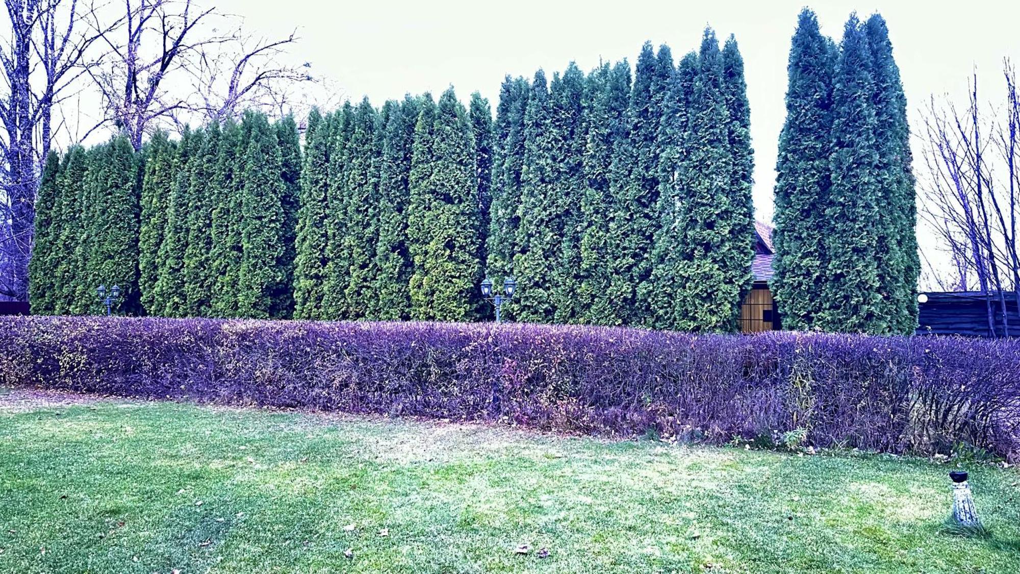 Petrovskyi Brovar Brovary Exterior foto